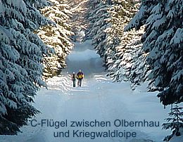 Loipengebiet R�benau