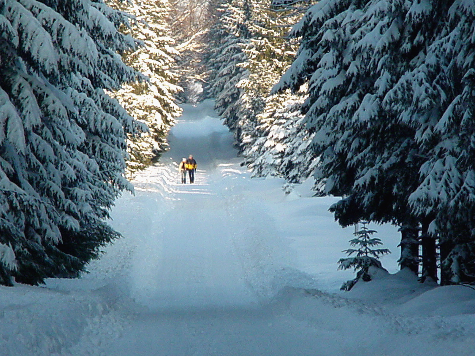 Skigebiet 