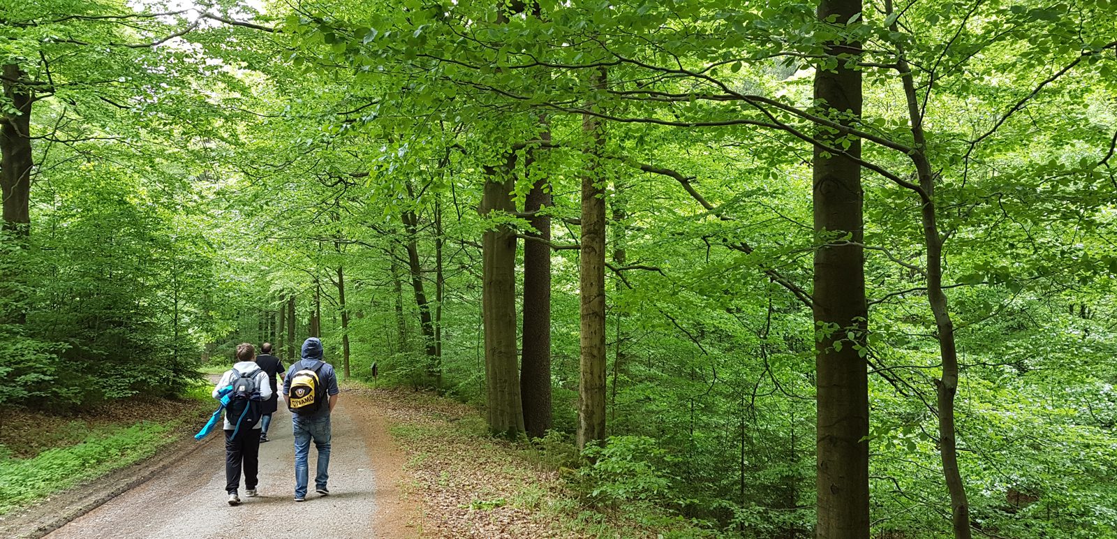 Bärenbachtal