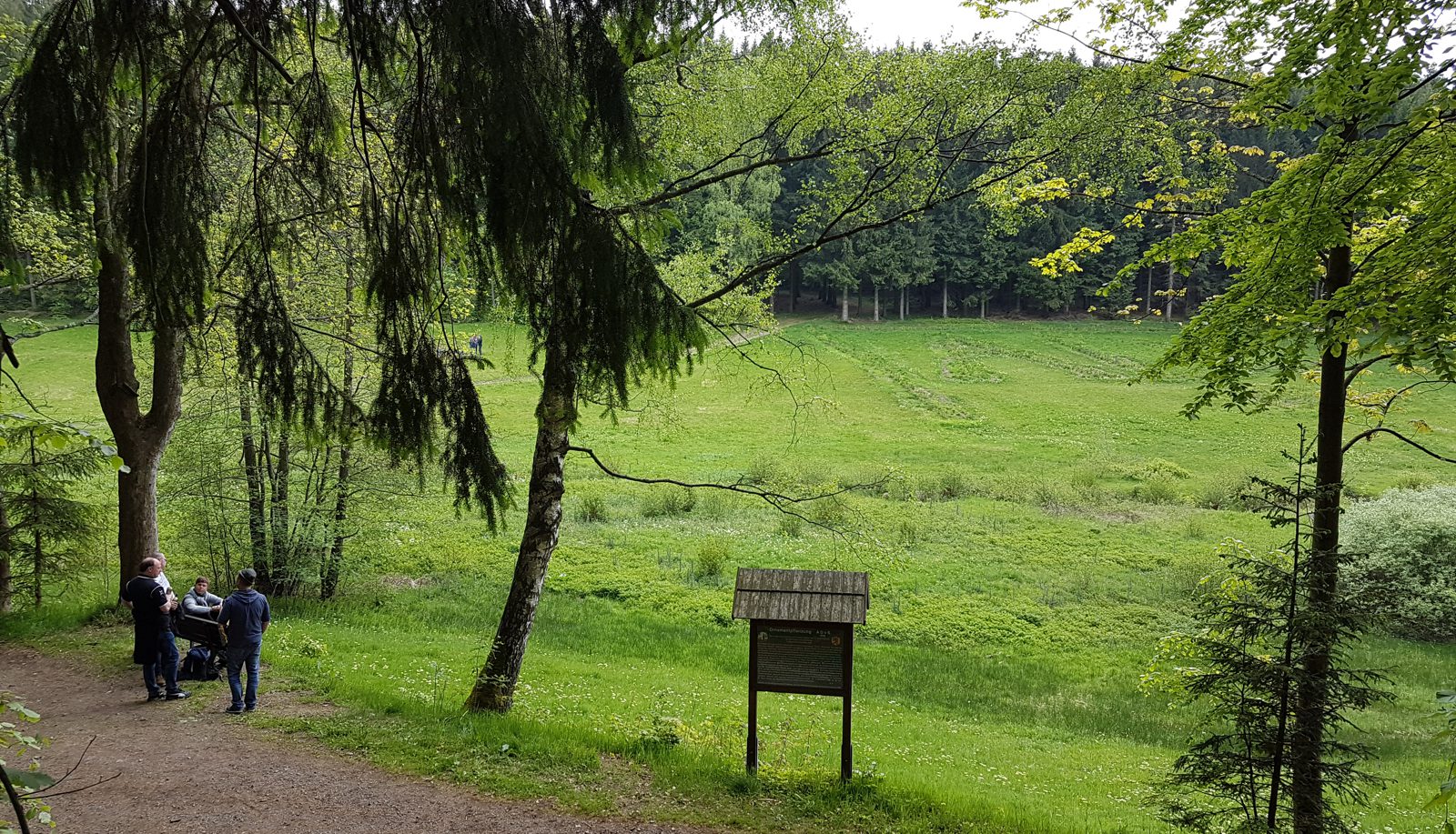 Ornamentspflanzung
