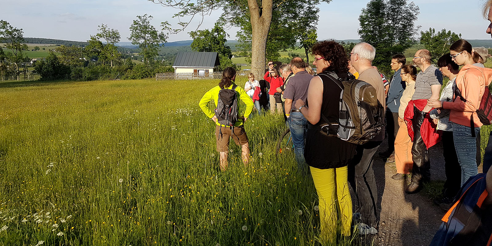 Wandergruppe im Kriegwald