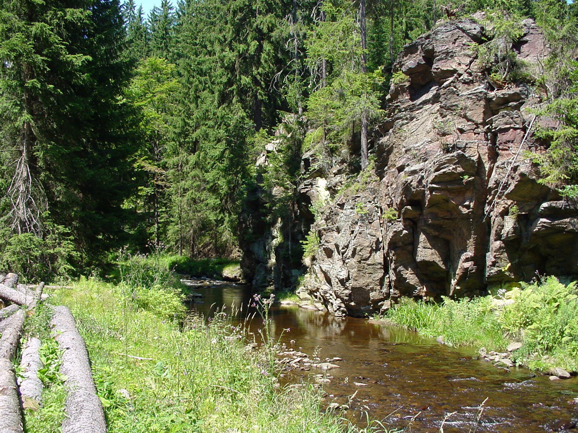 Natzschung im Natzschungtal