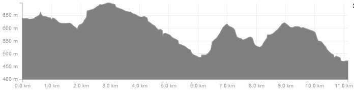 Höhenverlauf Kammweg Seiffen nach Olbernhau