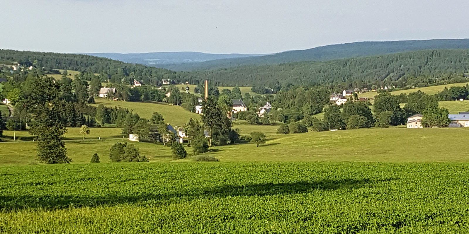 Blick auf Kriegwald