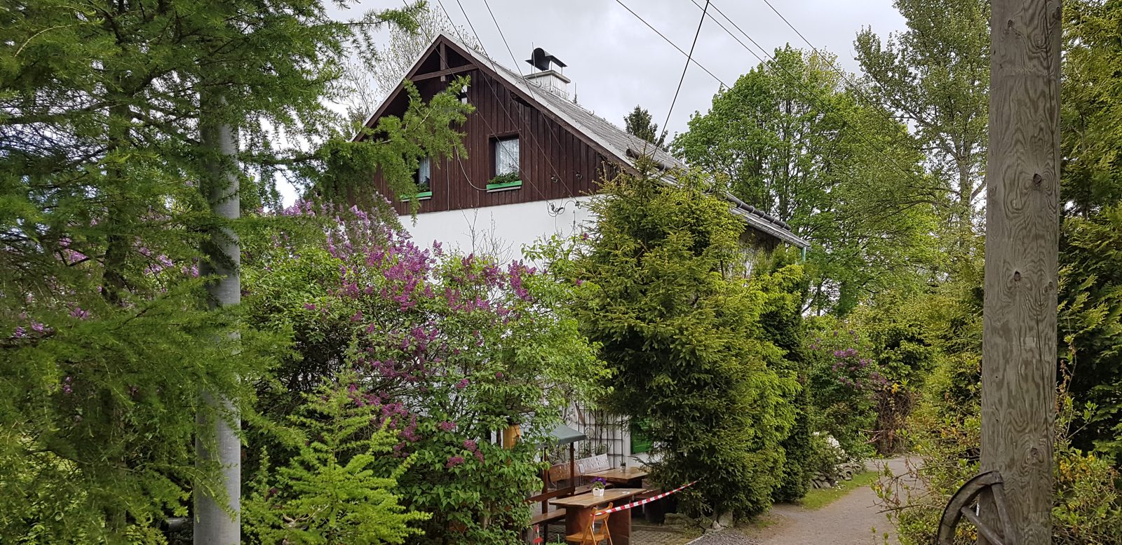 Relhök